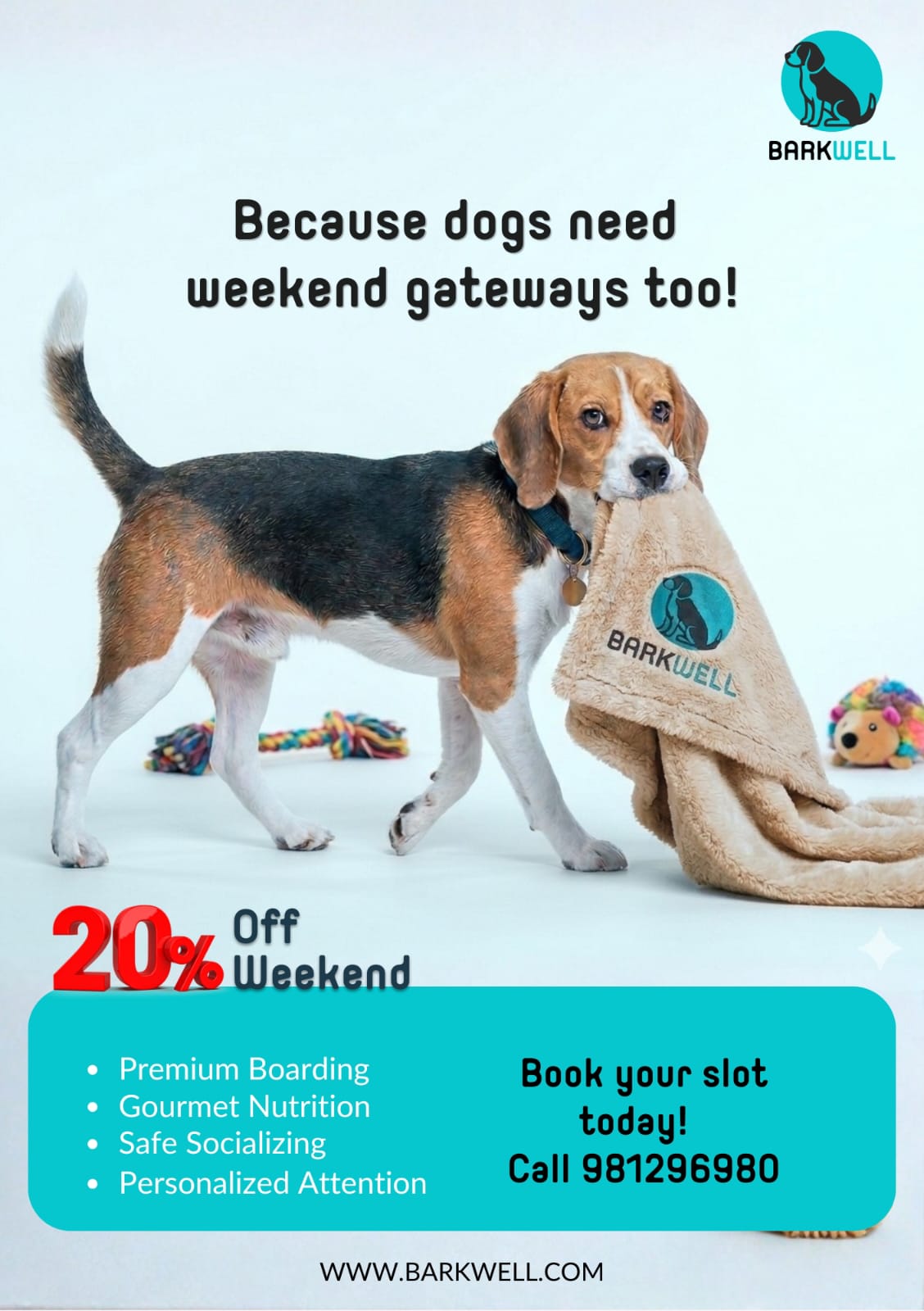 Main Brand Asset