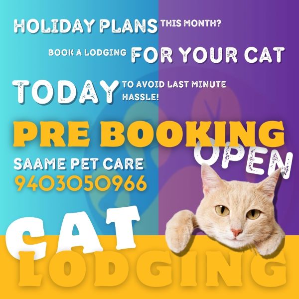 Leaflet
